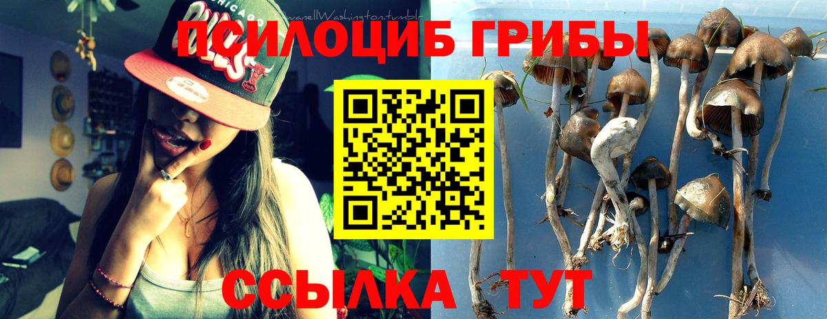 Псилоцибиновые грибы мицелий Озёрск